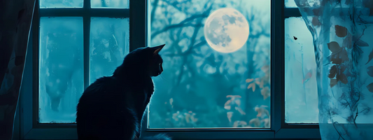 un chat une nuit de pleine lune  sur un rebord de fenêtre