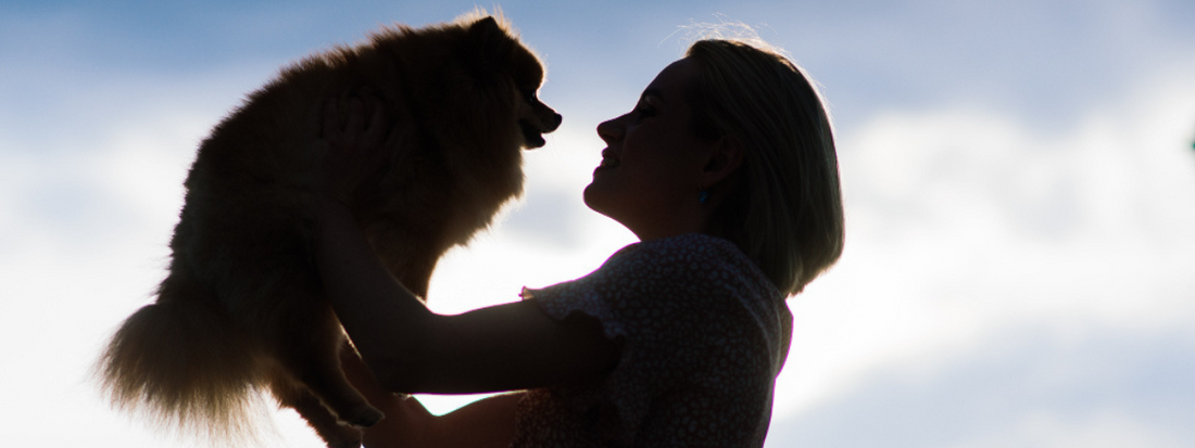 une femme porte un petit chien et le regarde dans les yeux à contre jour