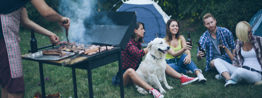Ponts de mai : stress et changement pour votre chien !