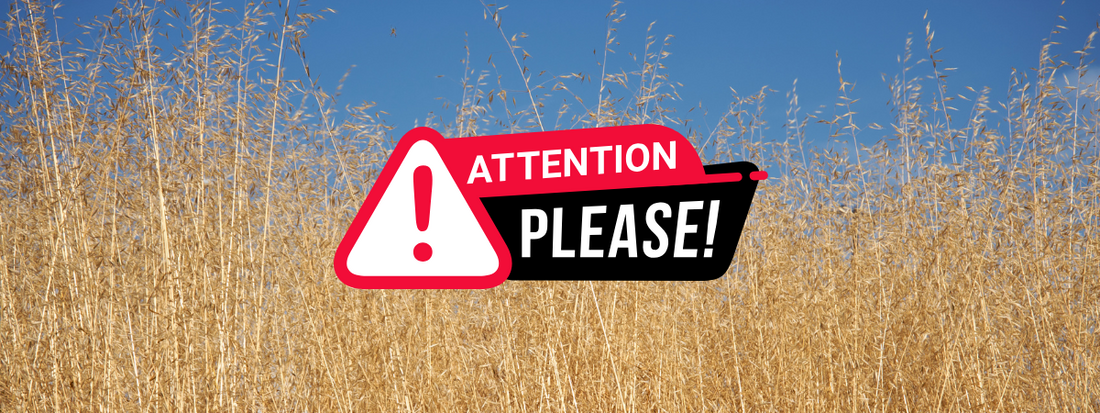un champ de graminées avec un avertissement "Danger""