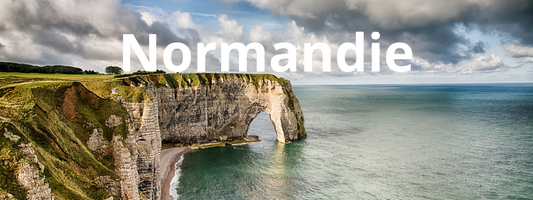 Vacances avec son chien en Normandie 🐾