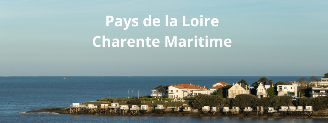 Vacances avec son chien en Charente-Maritime et Pays de la Loire 🐾