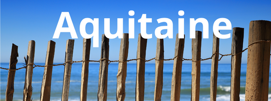 Vacances avec son chien en Aquitaine : que faire ensemble ?