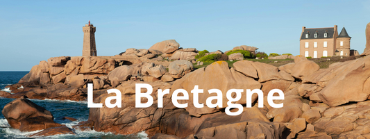 Vacances avec son chien en Bretagne 🐾