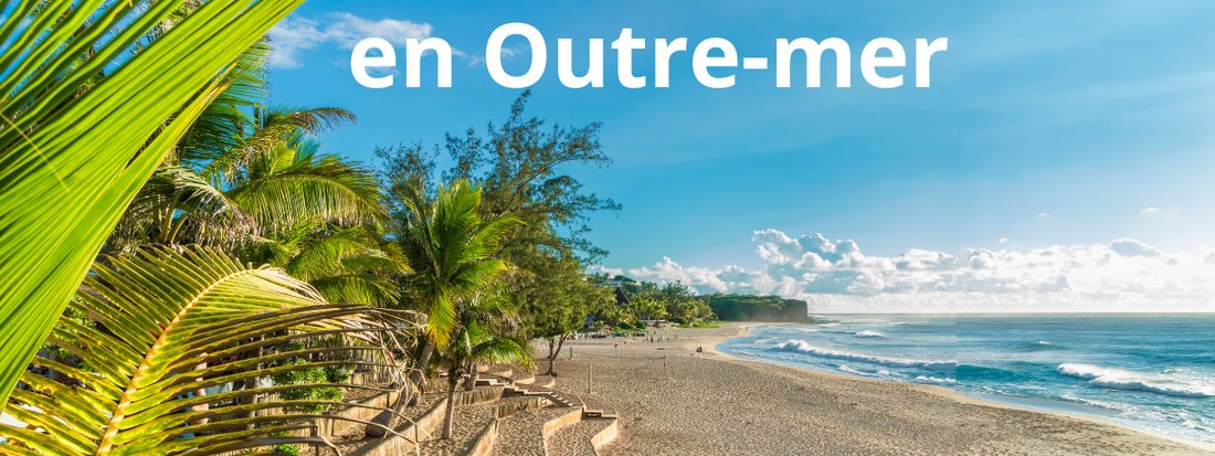 Vacances avec son chien en Outre-mer