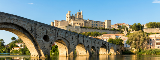 Vacances avec son chien en Languedoc