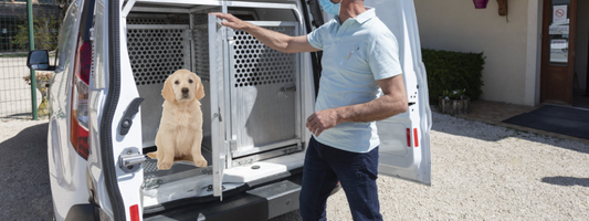 un labrador est dans une voiture de fourrière