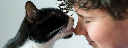 un chat noir et blanc léche le nez d'un jeune garçon 