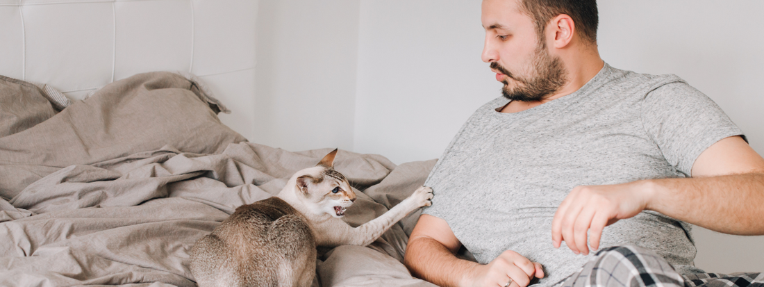 un chat griffe la manche d'un homme assis sur un canapé 