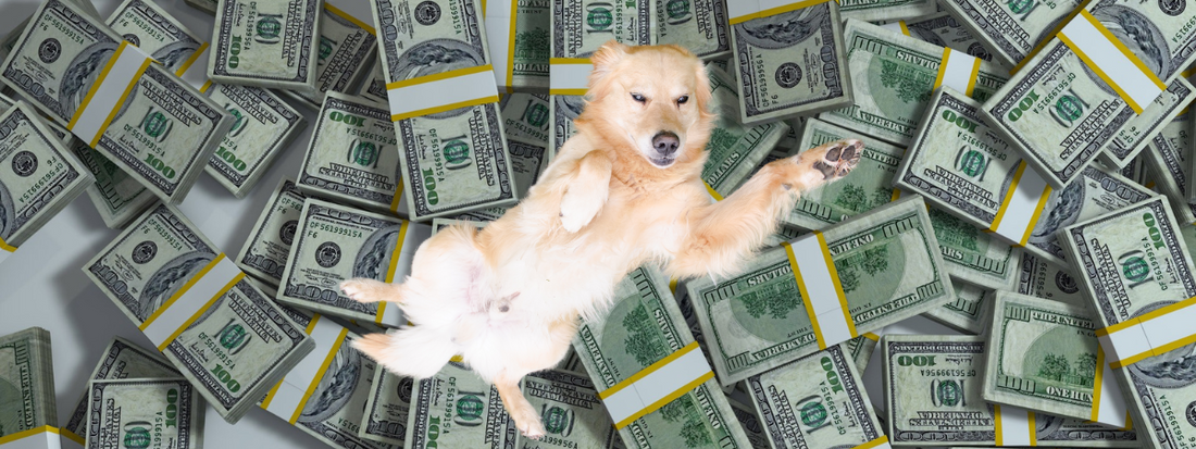 un chien se roule dans les billets