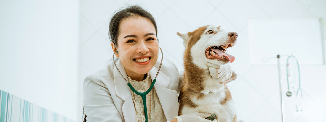 une vétérinaire et un chien type husky souriants