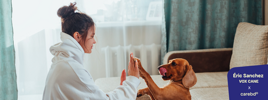 Nos Chiens Sont-Ils Encore des Chiens ? Évolution et Dérives.