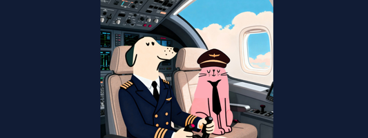 Le chien et le chat carebd pilotent un avion de ligne 