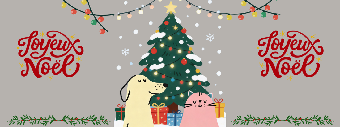 Merci, et joyeux Noël à la famille CareBD