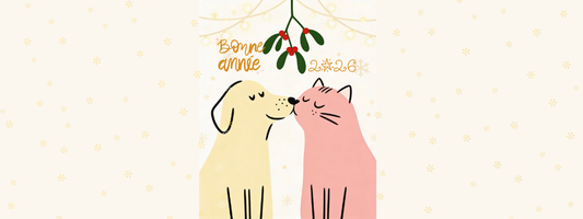 Bonne année 2026 pour nos carebuddy !